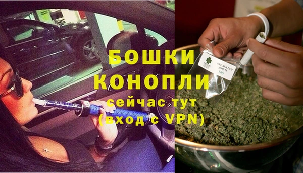 трава Дмитриев