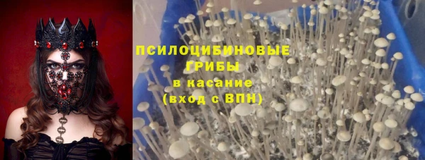 кокс Дмитровск